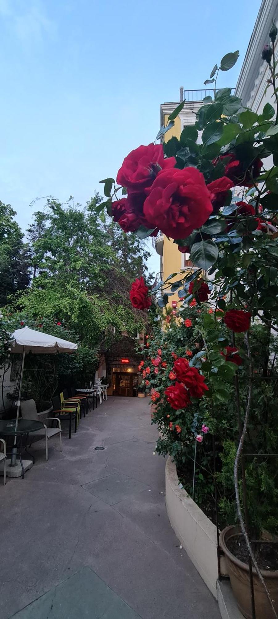 Casa Michelangelo 호텔 부쿠레슈티 외부 사진